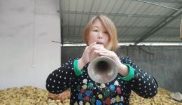 美女唢呐演绎河南豫剧《朝阳沟》，经典旋律百听不厌，戏曲爱好者速来收藏！