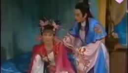 二度梅转情海断肠花