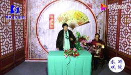 河南坠子《好儿媳孝婆婆》王明兰演唱 mp3/mp4戏曲资源下载下载