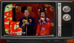 二人转《双锁山》mp3/mp4下载，陈小花崔四精彩演绎，经典戏曲资源速取下载