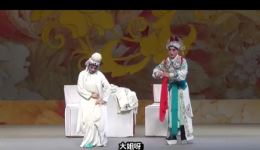 豫剧《蝴蝶杯·藏舟》全场高清视频下载，阎派经典剧目，名家主演，戏曲mp4/mp3资源一键获取下载