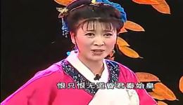 东北二人转小段《孟姜女》闫学晶演唱,正版mp3/mp4戏曲资源下载 东北二人转小段《孟姜女》闫学晶演唱,正版mp3/mp4戏曲资源下载