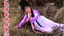黄梅戏《小辞店》选段下载,经典美女演唱,好听好看戏曲资源 黄梅戏《小辞店》选段下载,经典美女演唱,好听好看戏曲资源