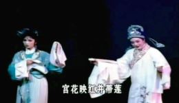 桃李梅