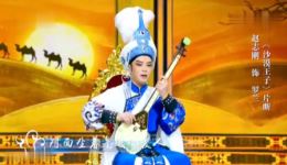 越剧《沙漠王子》《红楼梦》选段下载 - 赵志刚王君安演唱MP3/MP4资源下载