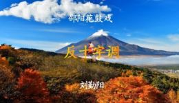 邵阳花鼓戏反十字调刘勤阳字幕版下载，高清mp3/mp4戏曲资源，速领经典唱段！