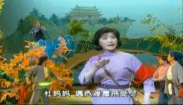 杜鹃山