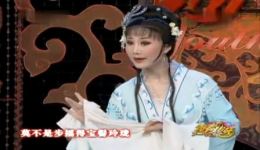 越剧《西厢记琴心》宁波小百花徐晓飞演唱，袁派经典戏曲mp3/mp4下载下载