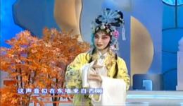京剧张派《情系西厢》王蓉蓉张萍赵秀君经典演唱，不容错过的戏曲盛宴下载