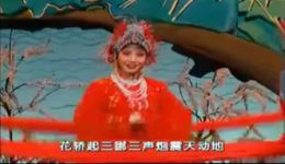 豫剧《抬花轿》选段MP3/MP4下载 - 虎美玲经典演唱下载