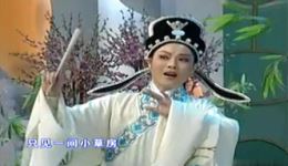 越剧经典《何文秀 桑园访妻》完整版下载，尹派萧雅深情演绎，传统名剧在线获取下载