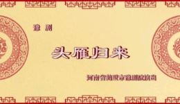头雁归来