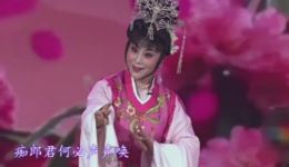 牡丹仙子