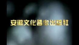 庐剧《半夜夫妻》全场戏下载,魏小波汪莉主演mp3/mp4资源 庐剧《半夜夫妻》全场戏下载,魏小波汪莉主演mp3/mp4资源