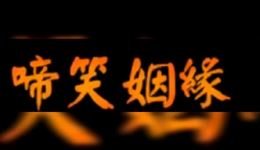 上党鼓书《啼笑姻缘》mp3/mp4下载，经典戏曲资源一键获取
