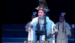 东吴郡主
