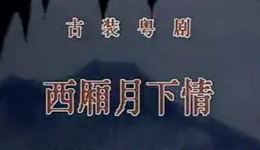 粤剧《西厢记（西厢月下情）》全场戏下载，梁耀安倪惠英主演，经典戏曲资源下载