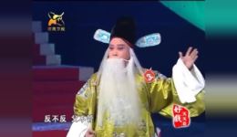 反西京