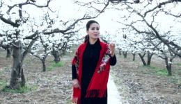 东路梆子《爱的火焰》下载于华倾情演唱，抗疫主题经典戏曲资源