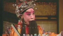 湖阳春梦