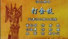 河北梆子《打金枝-金殿》选段，黄长明经典演唱，戏曲爱好者必藏