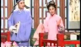 庐剧晚娘戏子