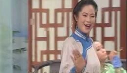 扬剧《探亲相骂》全剧下载，祝荣娟王苓芬主演，扬州市扬剧团演出mp3/mp4资源下载