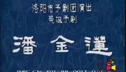 荒诞豫剧《潘金莲》全场mp3/mp4下载 洛阳市豫剧团赵晓梅赵四亮主演下载