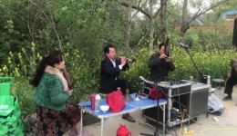 河南豫剧《打金枝》经典演奏，一梆一笙一唢呐演绎，传统韵味十足