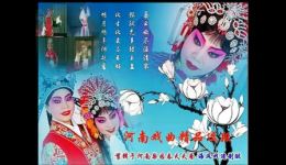 豫剧《南阳关》选段下载唐派经典贾庭聚演唱，传承戏曲魅力