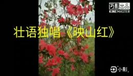 映山红