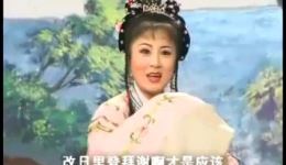 庐剧恶婆婆与穷媳妇