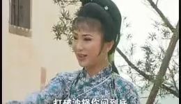 黄梅戏《丑姑娘嫁人》全集下载 经典传统剧目在线获取 黄梅戏《丑姑娘嫁人》全集下载 经典传统剧目在线获取