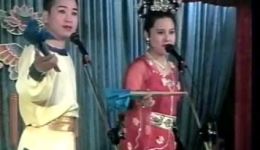 杨八郎探母