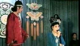 东北二人转正戏《夜序花亭》全场戏下载 - 崔涛郑桂云经典演绎下载