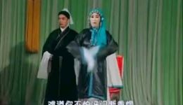 郑桂云主演二人转《冯奎卖妻》全场戏下载，mp3/mp4资源一键获取下载