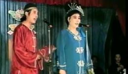 经典二人转正戏《夜序花亭》全场资源下载，崔涛郑桂云精彩演绎下载