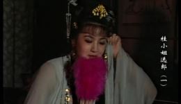 桂小姐选郎