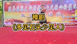 多见石头少见人豫剧mp3/mp4下载，高清豫剧资源免费获取