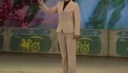 河南坠子《小五想妻》戏曲mp3/mp4下载，经典民间生活题材坠子戏资源