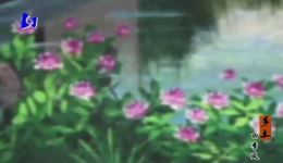 河南坠子《听墙根》刘瑞莲演唱经典戏曲片段mp3/mp4下载下载