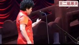 河南坠子《王二姐思夫》胡中花主演mp3/mp4高清戏曲资源下载，经典传统剧目在线获取下载