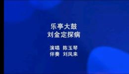 刘金定探病