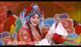 对花枪赤桑镇杨门女将