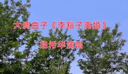 国家一级演员胡希华演唱大调曲子《李豁子离婚》中部,经典戏曲资源在线下载 国家一级演员胡希华演唱大调曲子《李豁子离婚》中部,经典戏曲资源在线下载
