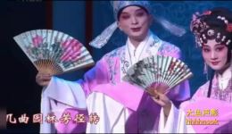 昆曲《紫钗记·花园惊报》片段下载黎安沈昳丽精彩演绎mp3/mp4资源