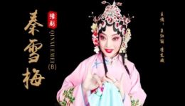 豫剧《秦雪梅》全场戏曲下载，王红丽主演mp3/mp4资源下载
