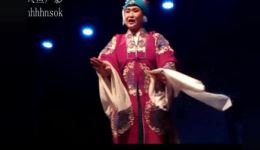 茂腔经典《对花枪》mp3/mp4资源下载，老身独居南阳地戏曲全剧畅享