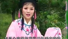 庐剧《孝子毒死生身父》全集下载 魏小波王小兰主演 高清mp3/mp4戏曲资源下载