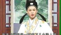 庐剧《雷宝童招亲》盛小五周大三主演经典戏曲mp3/mp4资源下载下载